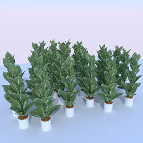 Low-poly indoor plant preview image